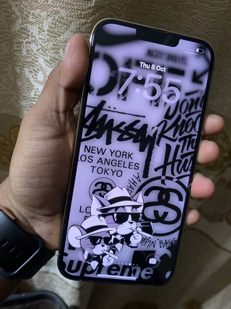 Apple iPhone 13 Pro Max 1