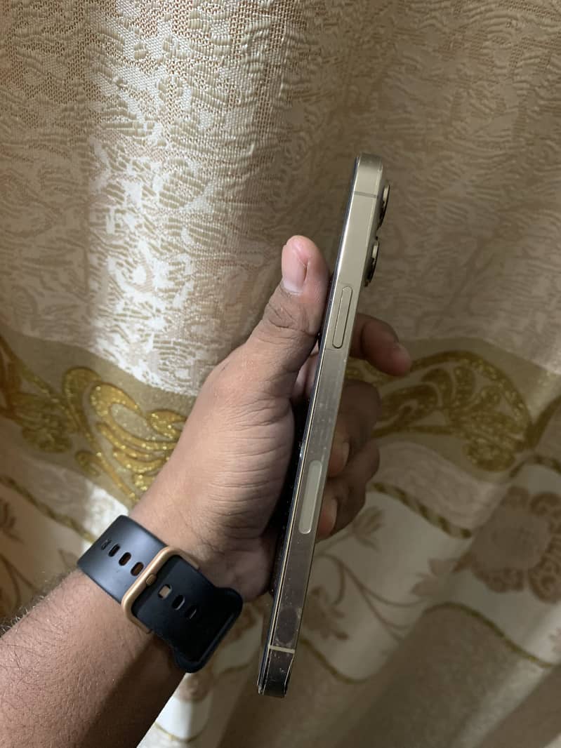 Apple iPhone 13 Pro Max 2
