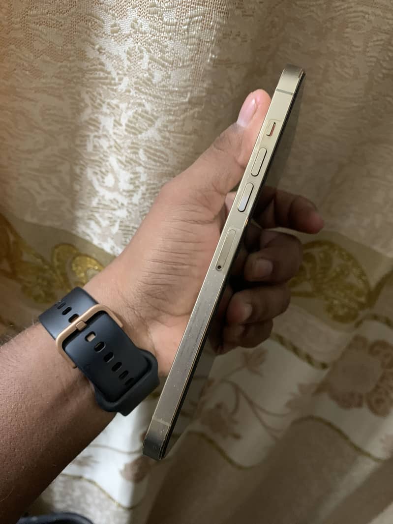 Apple iPhone 13 Pro Max 3