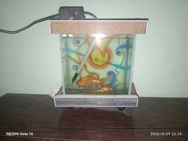 Aquarium for Sale with 2 Golden Fish, Medicines & Air Pump — photo 4