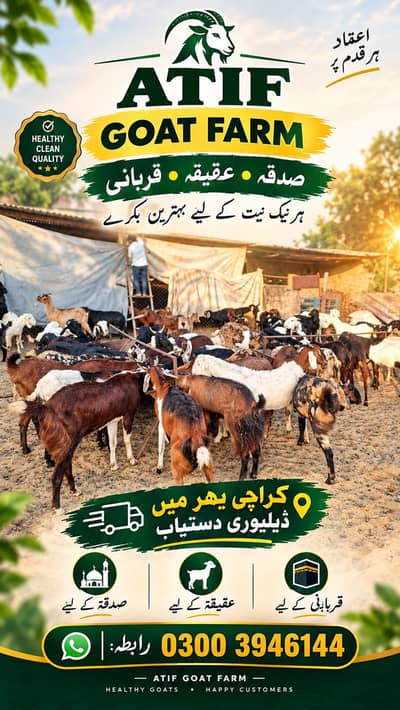 Sadqa haqiqa katu mal available