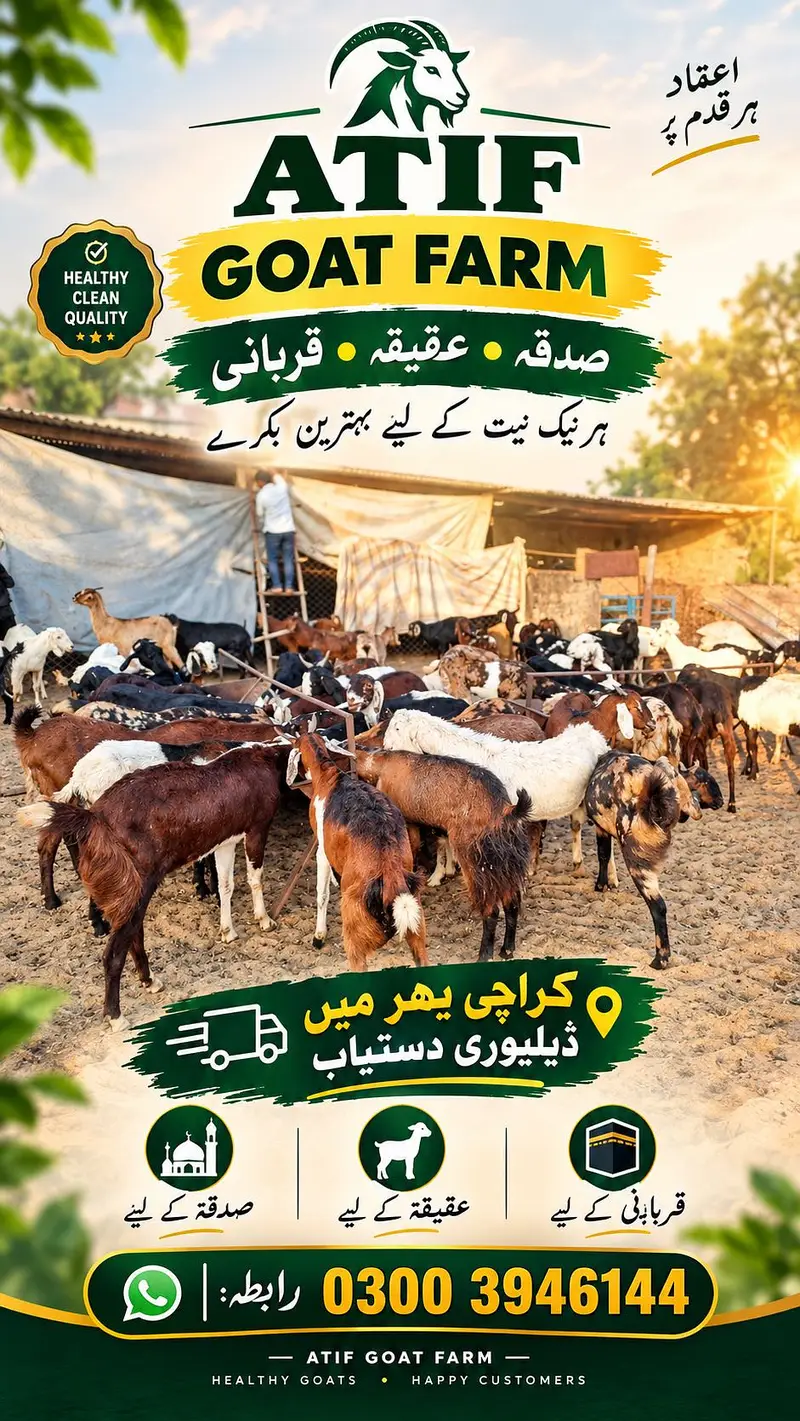 Sadqa haqiqa katu mal available
