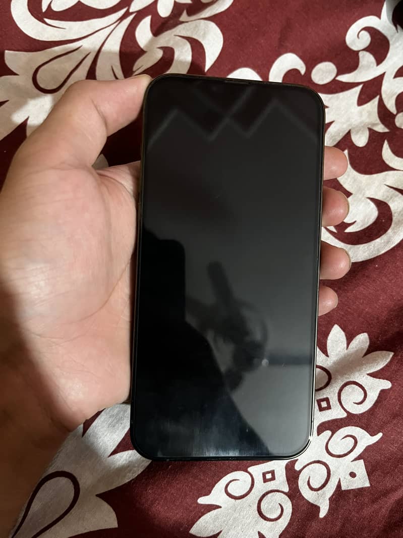 Iphone 13 pro max 1