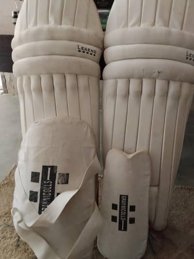 Cricket Batting Pads & Thigh Guard Set – Red White