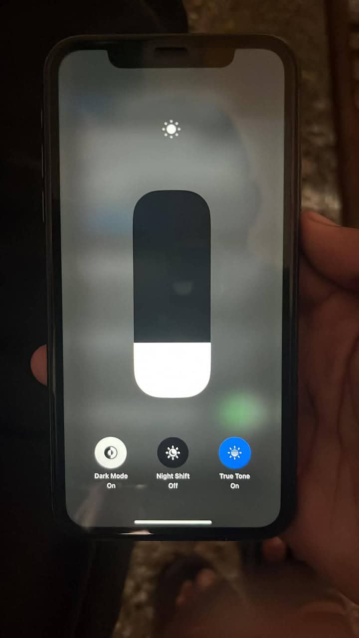 Apple iPhone 11 1
