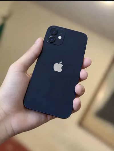 Apple iPhone 12(exchange possible)