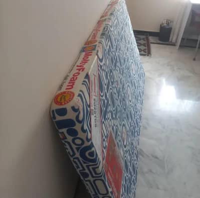 Moltyfoam's Single and double bed mattresses