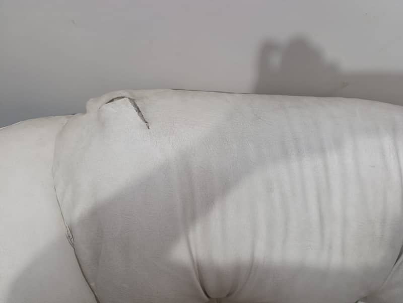 Sofa white colour 3