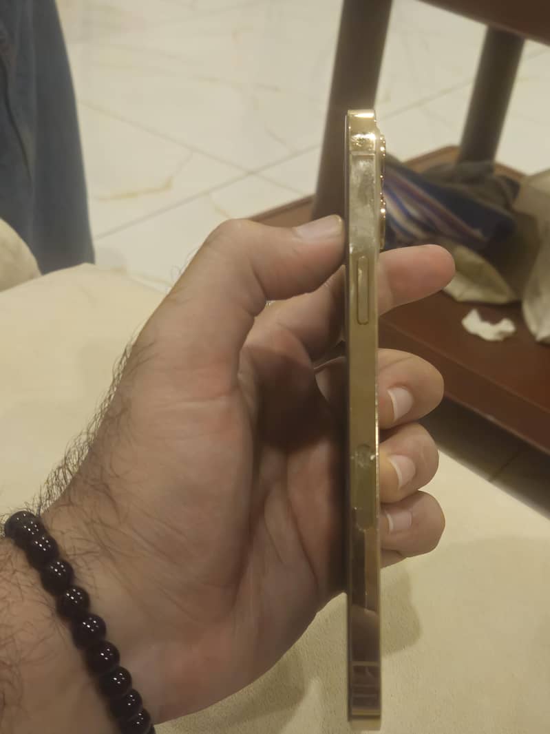 Apple iPhone 12 Pro Max 1