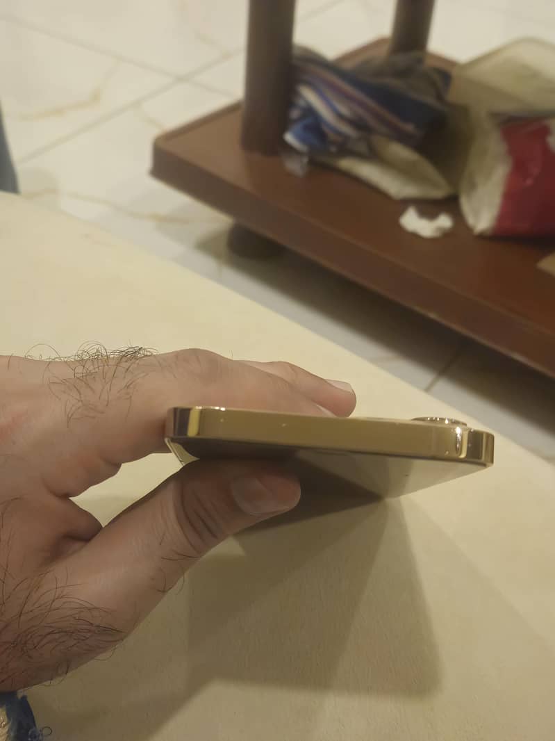 Apple iPhone 12 Pro Max 2
