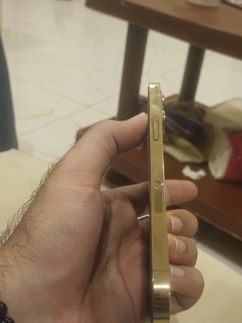 Apple iPhone 12 Pro Max 5