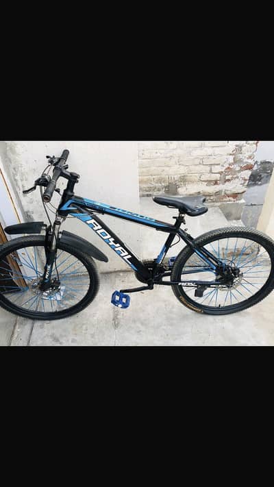 Royal 18 speed MTB-Gears Cycle