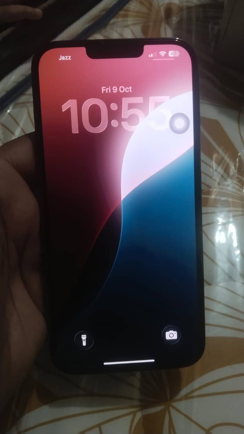 Apple iPhone 13 Pro Max 1