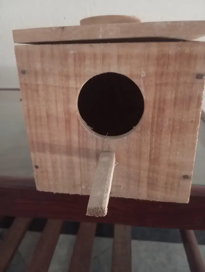 wooden boxes for birds ,love birds,java,finches — photo 3