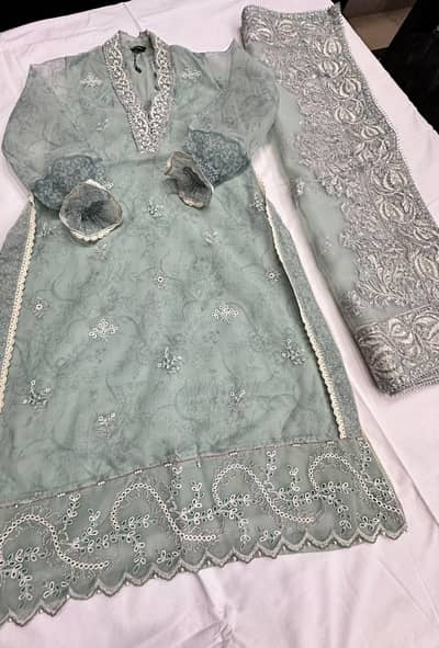 Sapphire Embroidered Organza Ready-to-Wear Dress