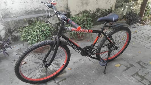 Phoenix Bicycle for Sale