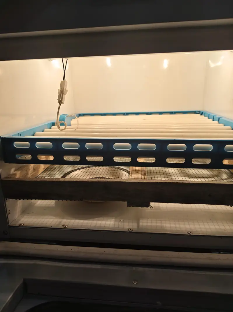 automatic incubator — photo 2