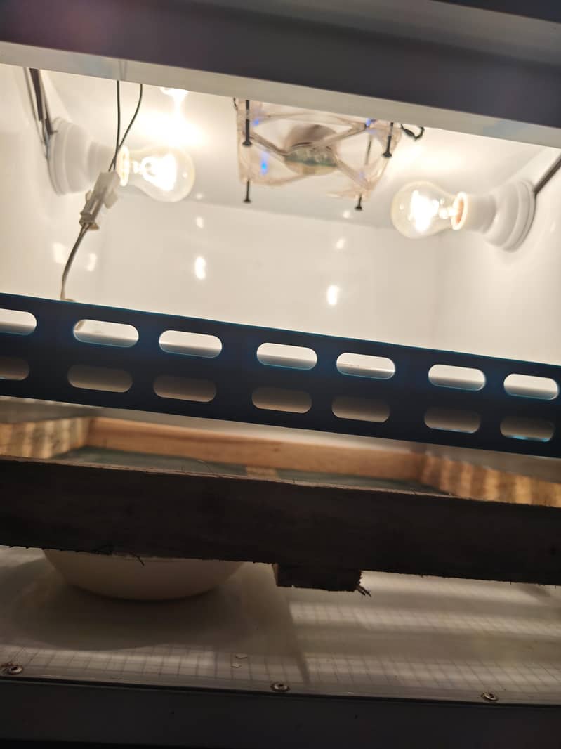 automatic incubator 2