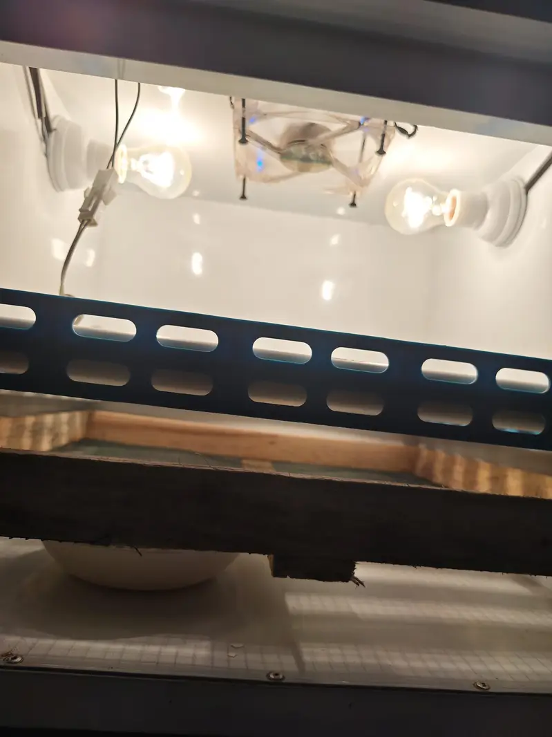 automatic incubator — photo 3