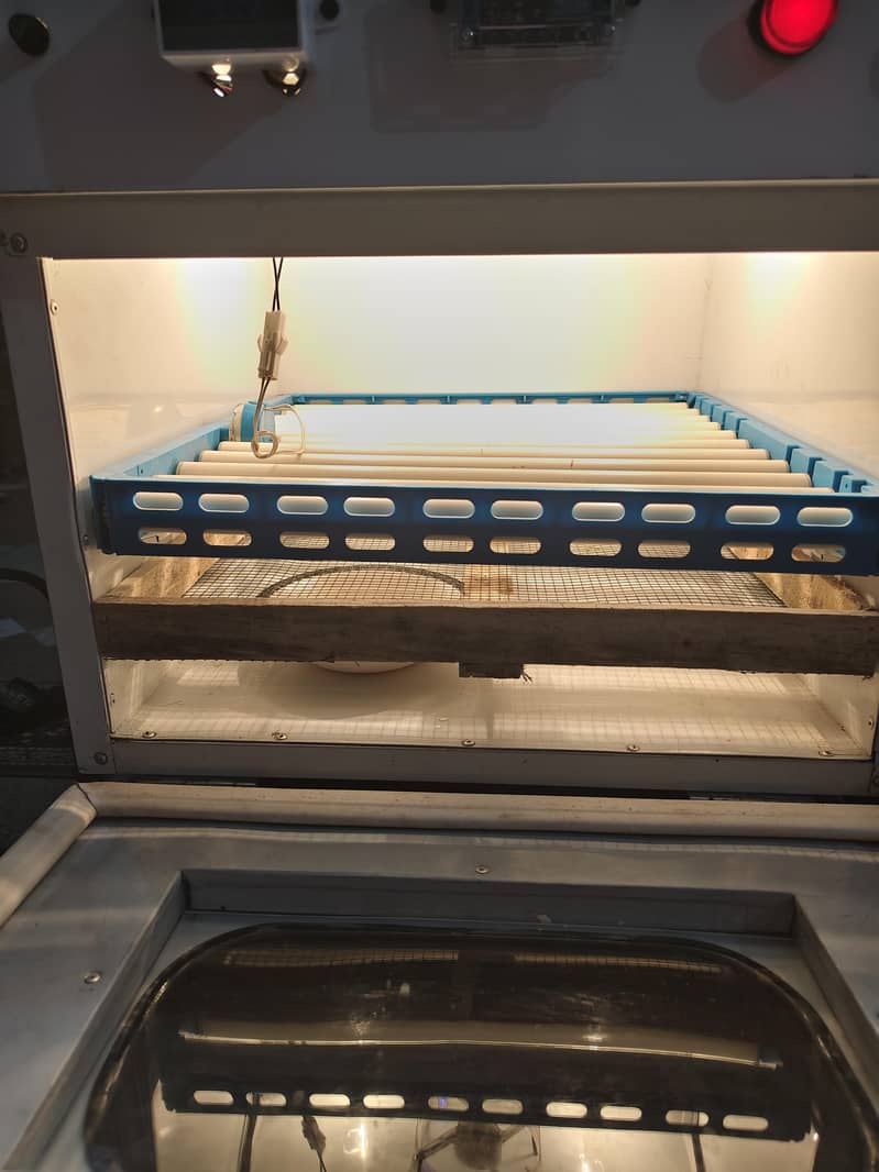 automatic incubator 4