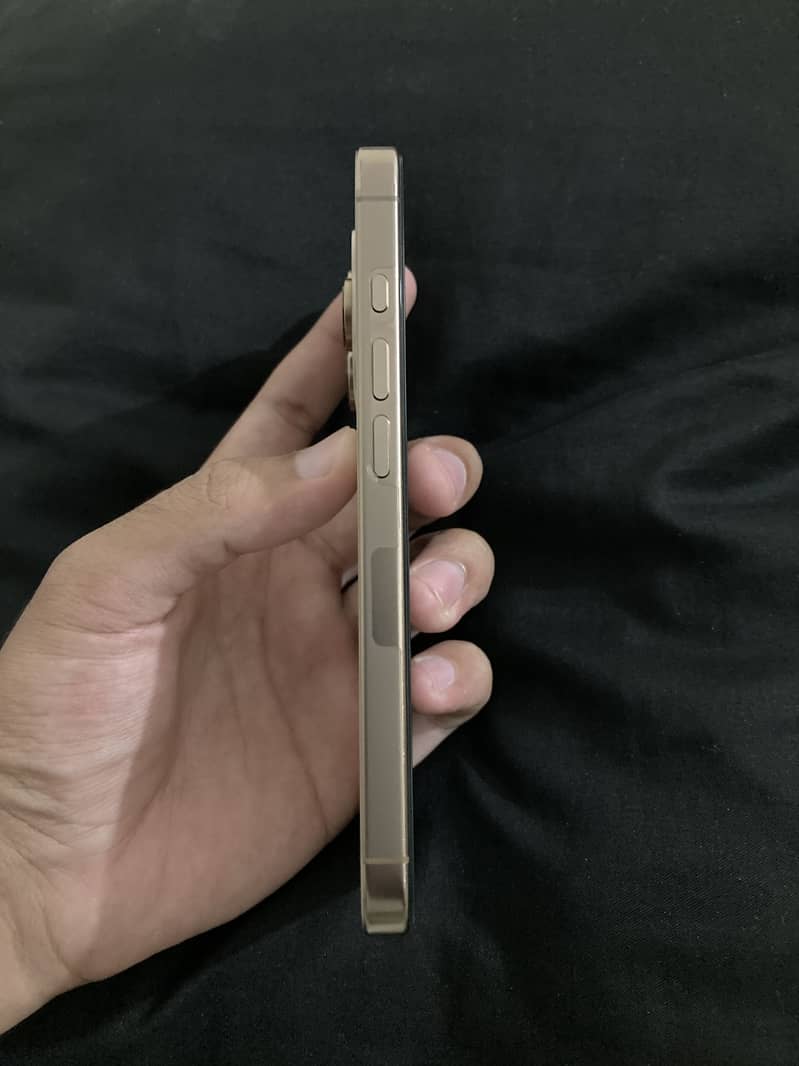 Apple iPhone 16 Pro 2