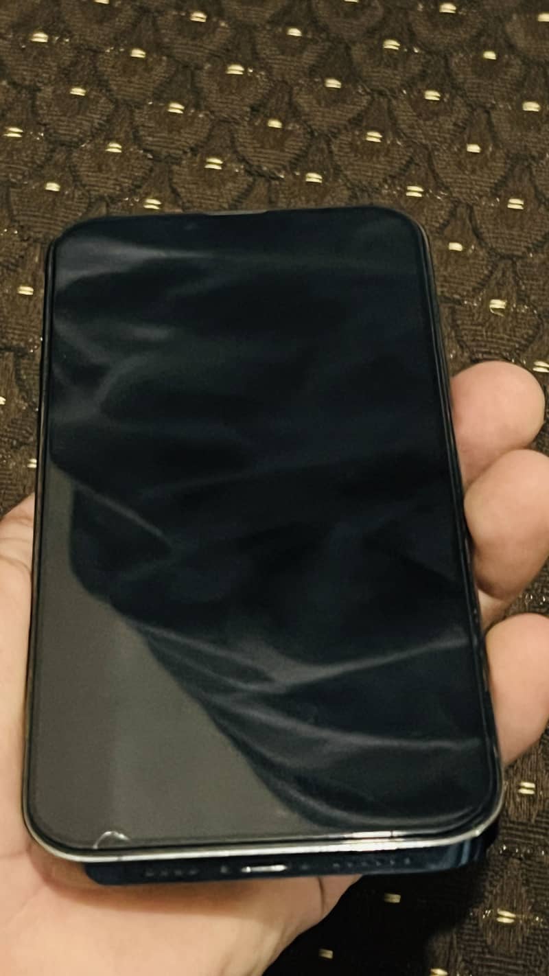 Apple iPhone 13 Pro Max 3