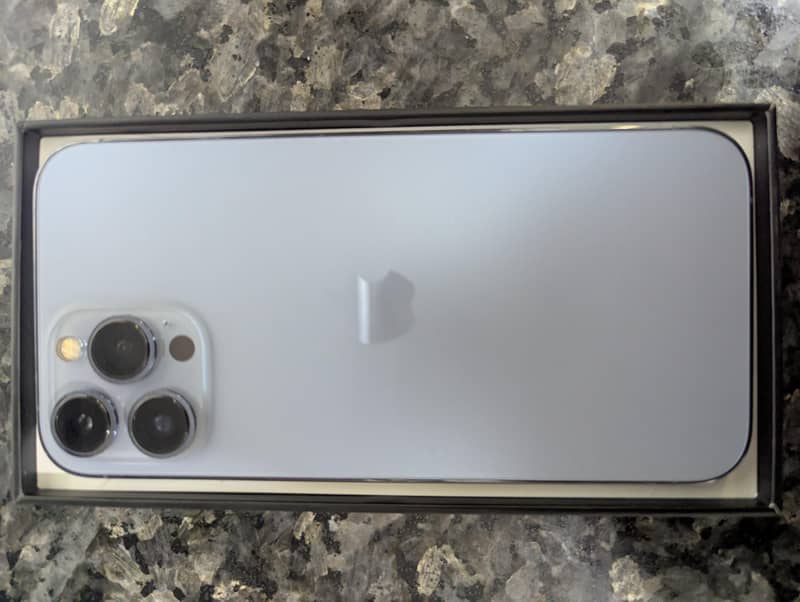 Apple iPhone 13 Pro Max 1