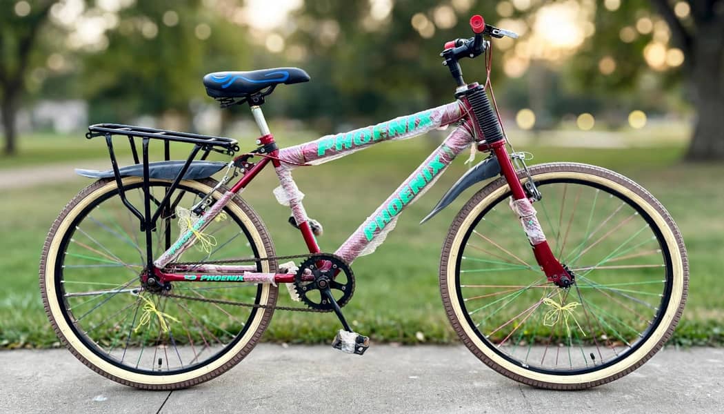 Phoenix Cycle 0