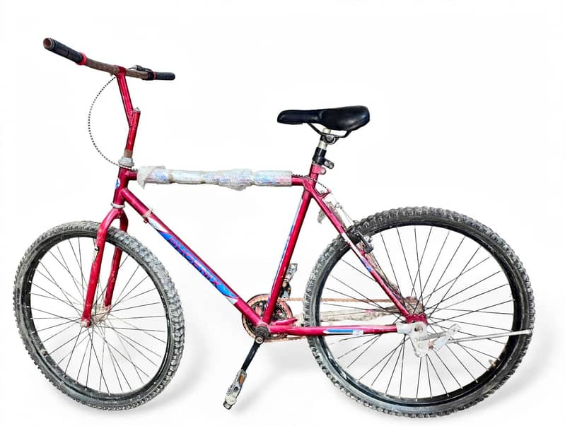 Red cycle 1