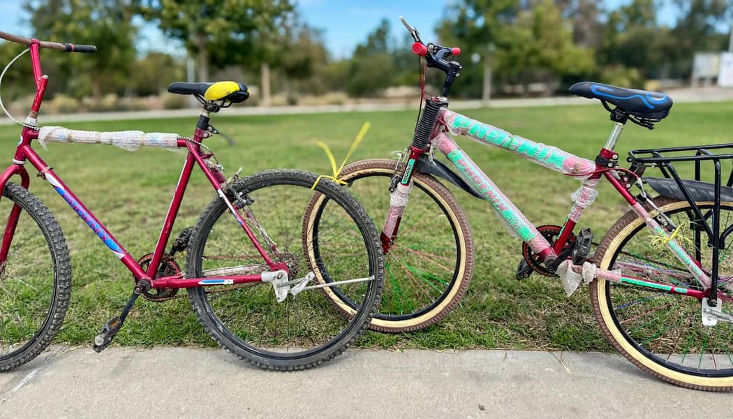 Red cycle 2