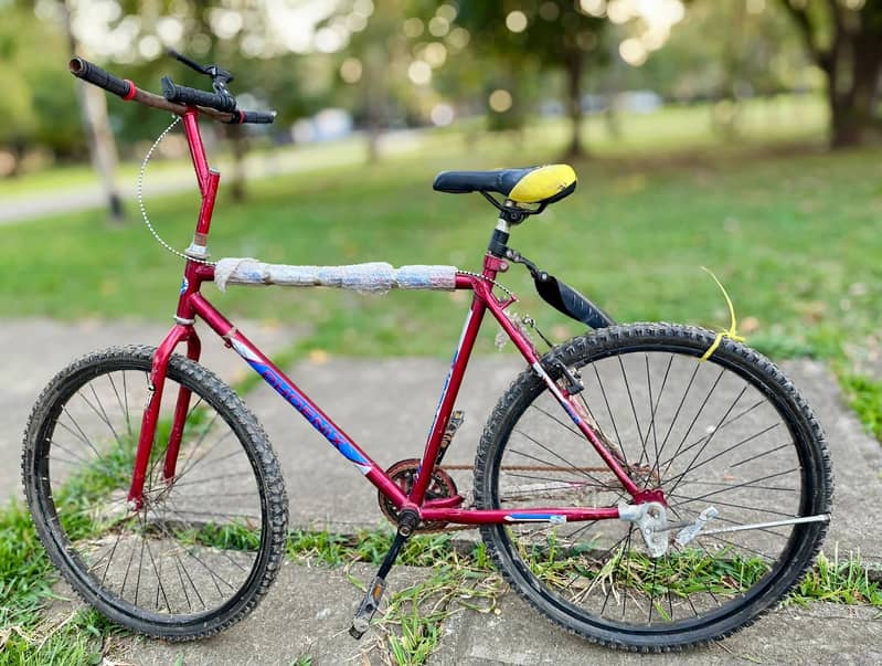 Red cycle 0