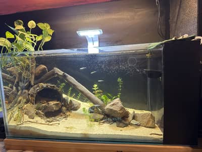 26x12x12 inches new tank with internal sump filtration  all natural