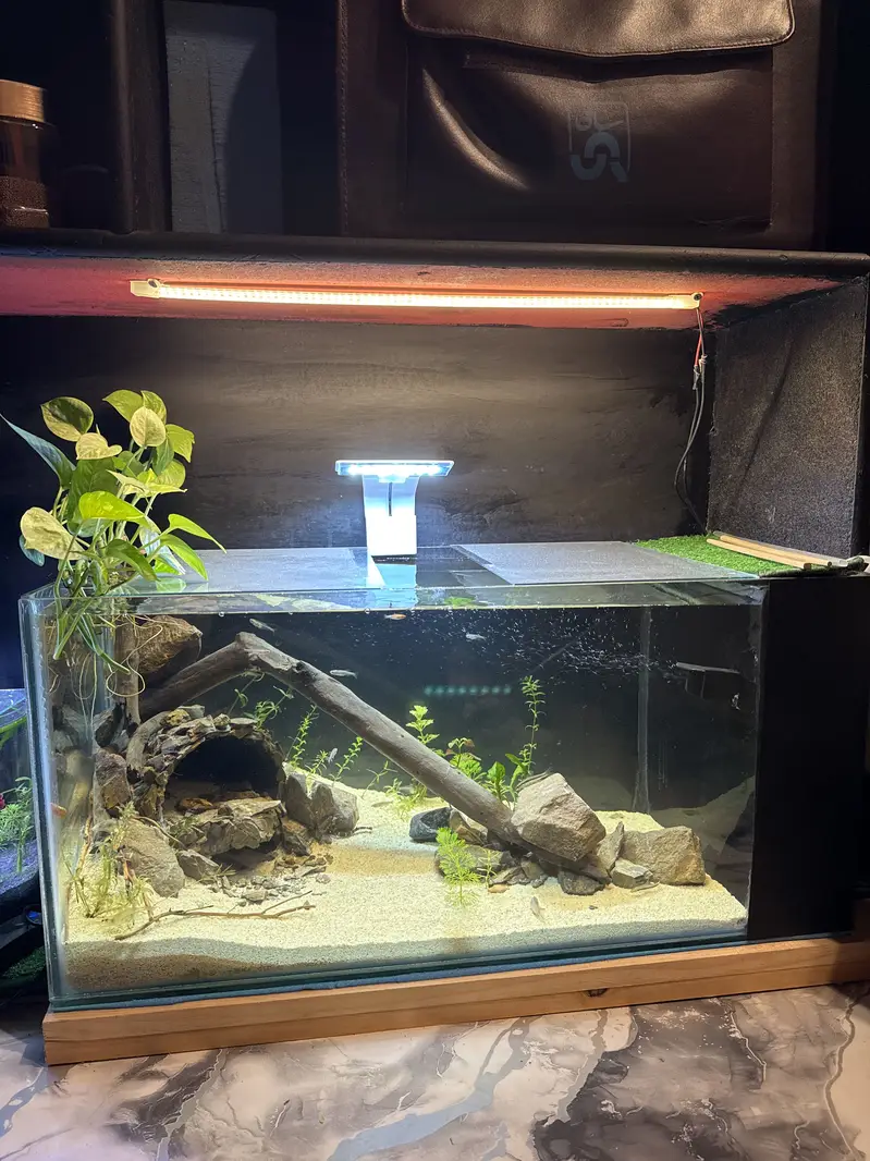 26x12x12 inches new tank with internal sump filtration  all natural — photo 3