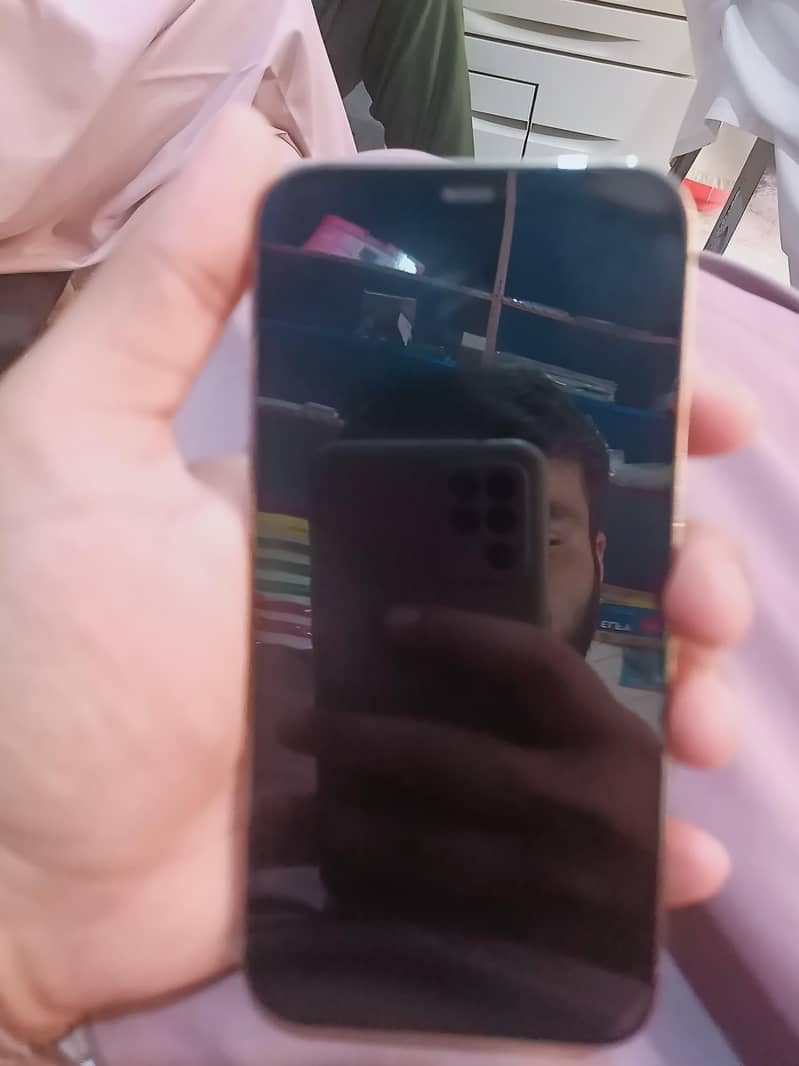 Apple iPhone 12 Pro 4