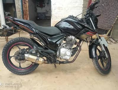 SP archi 150