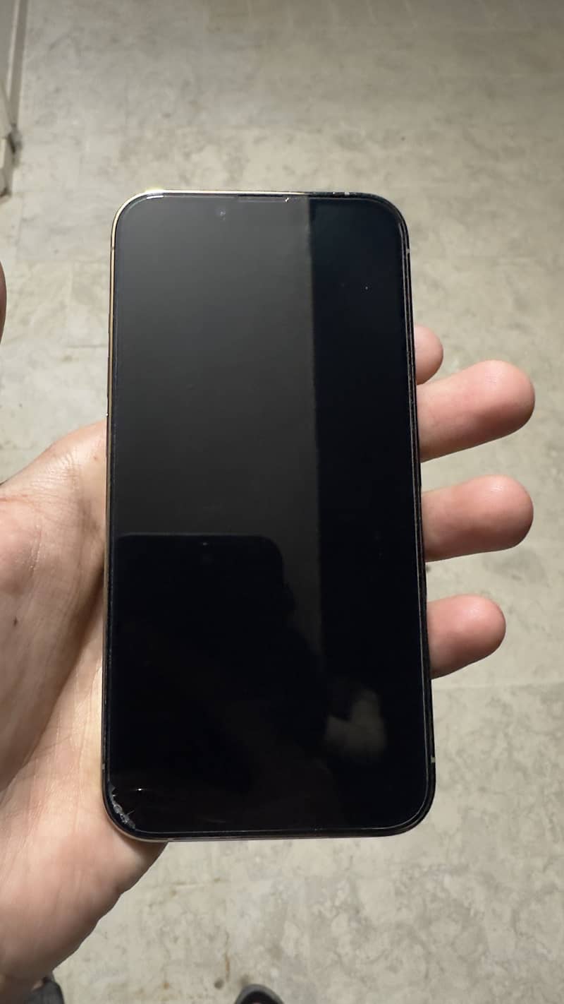Iphone 13 Pro 1