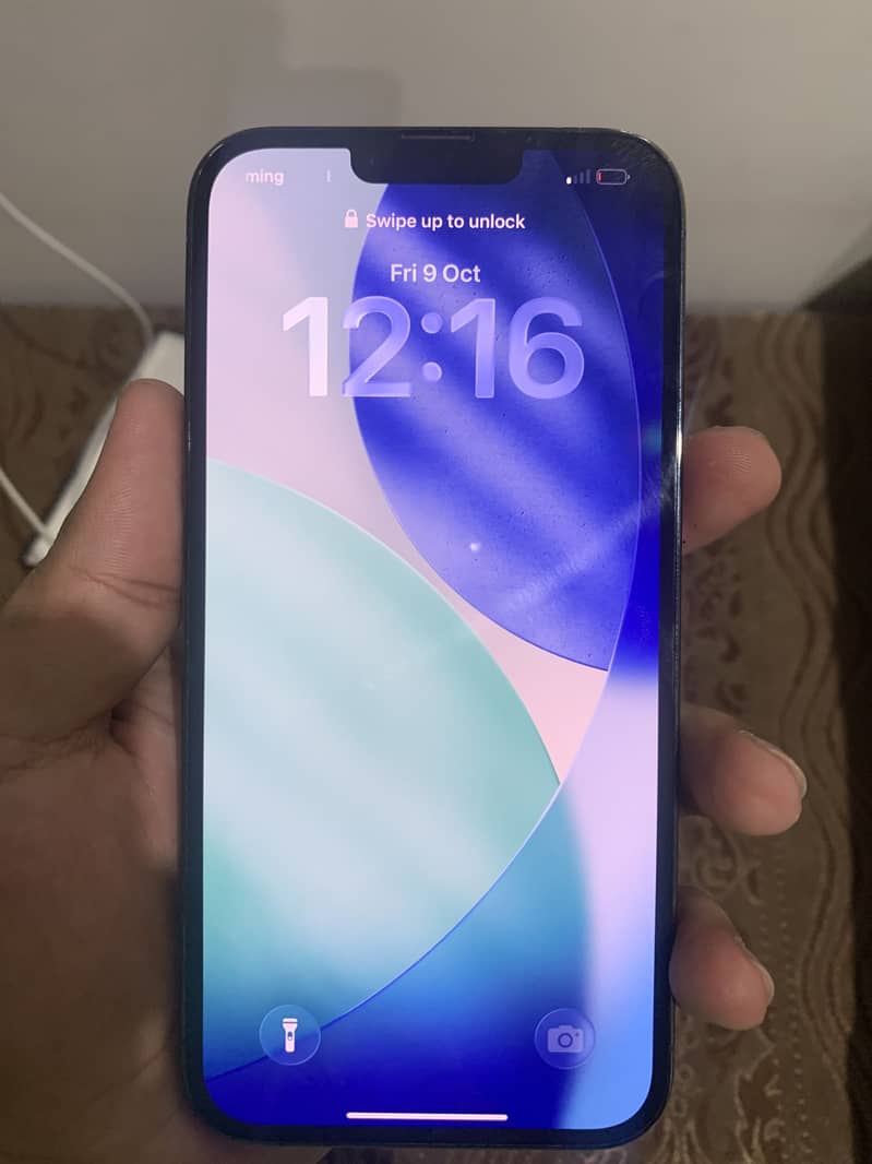 Apple iPhone 13 Pro Max 1