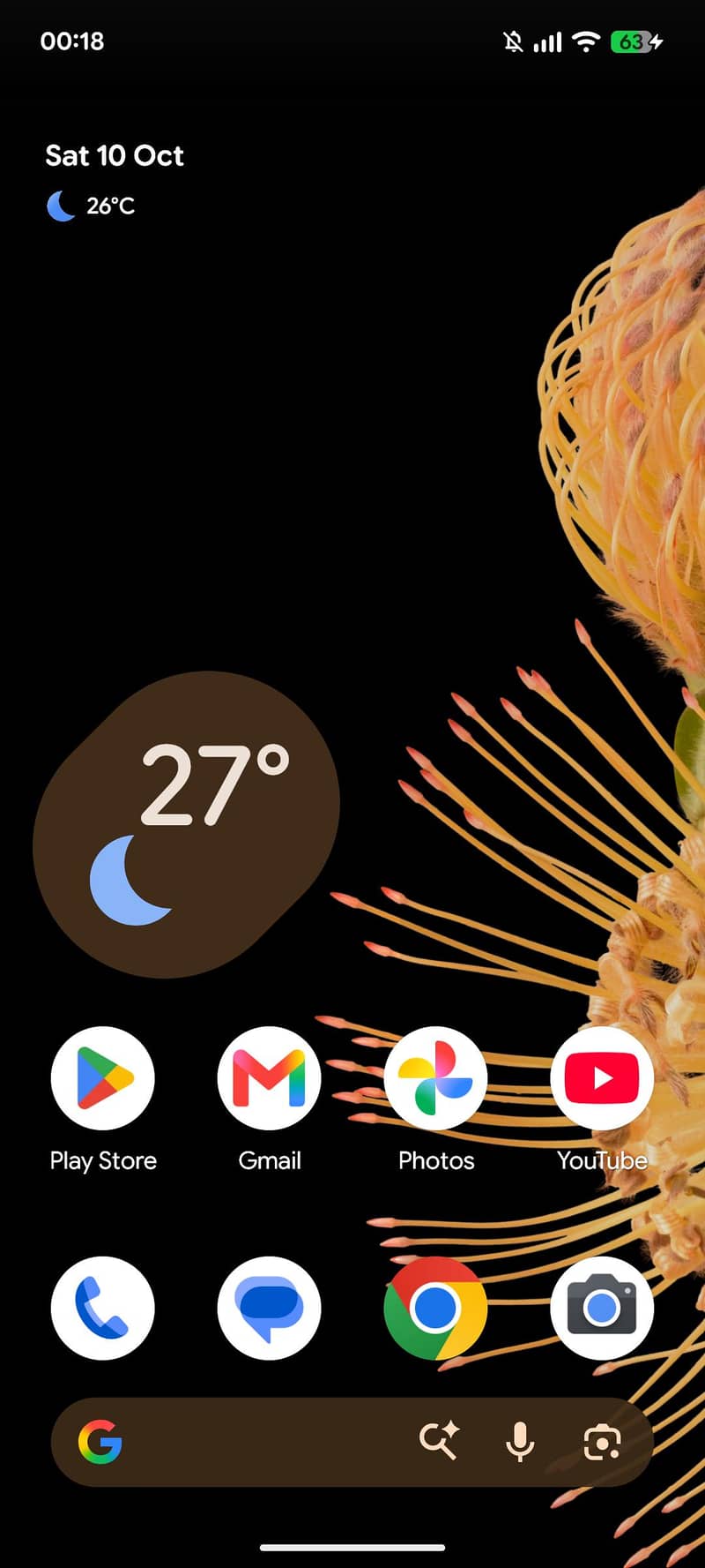 Google Pixel 6 1