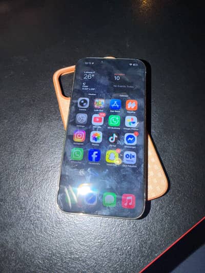 iPhone 13 Pro Max