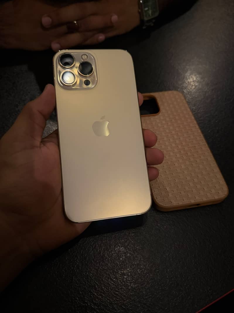 iPhone 13 Pro Max 1