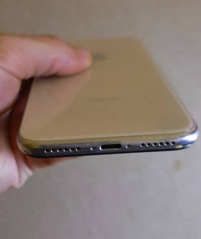 Apple iPhone X