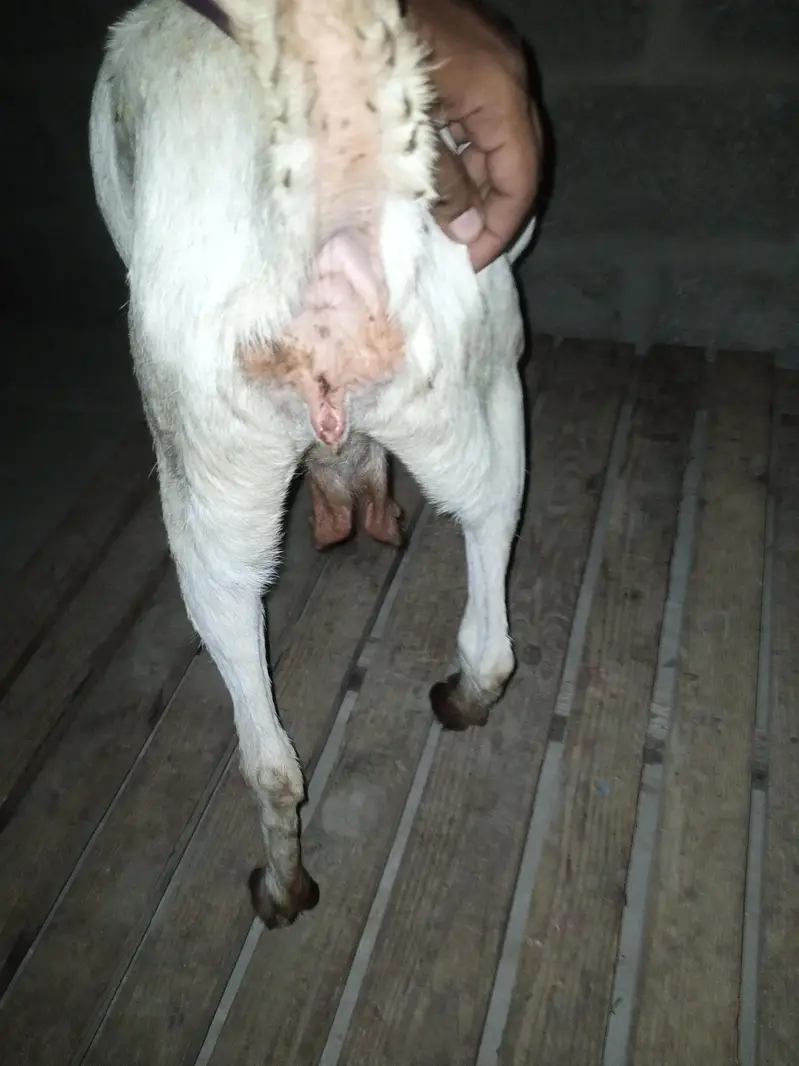 taddy bakri — photo 7