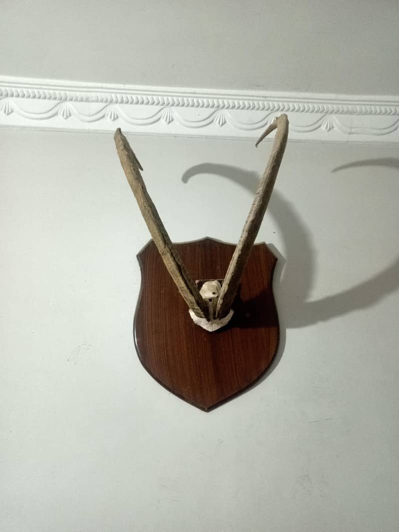wall Frame 1