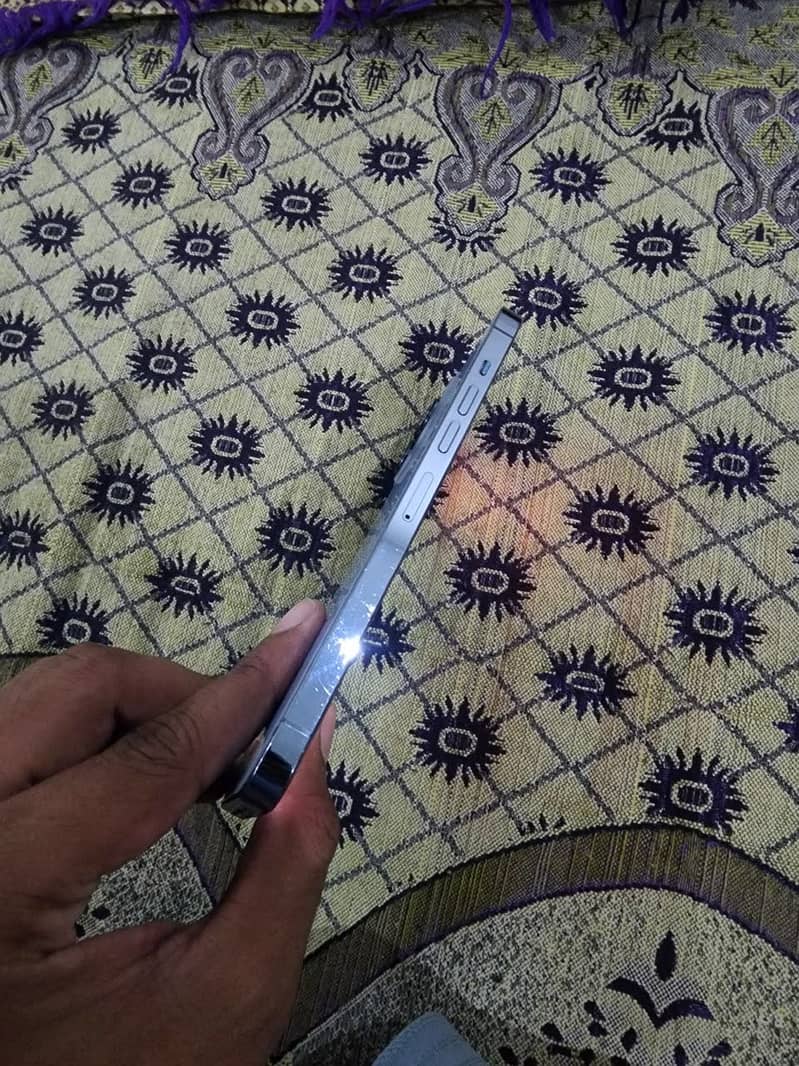 Apple iPhone 13 Pro Max 2