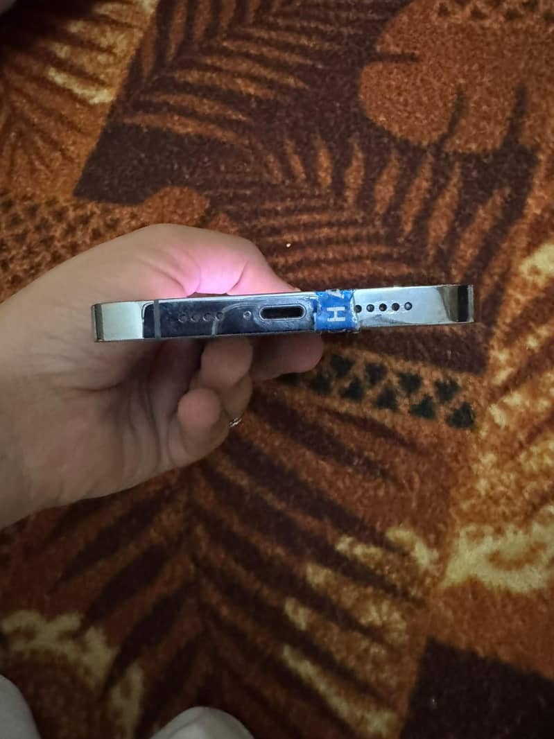Apple iPhone 13 Pro Max 1