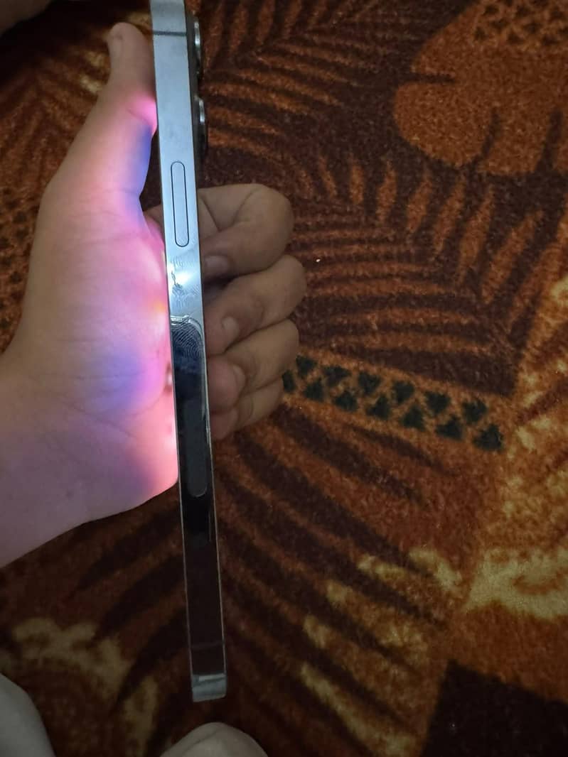 Apple iPhone 13 Pro Max 2