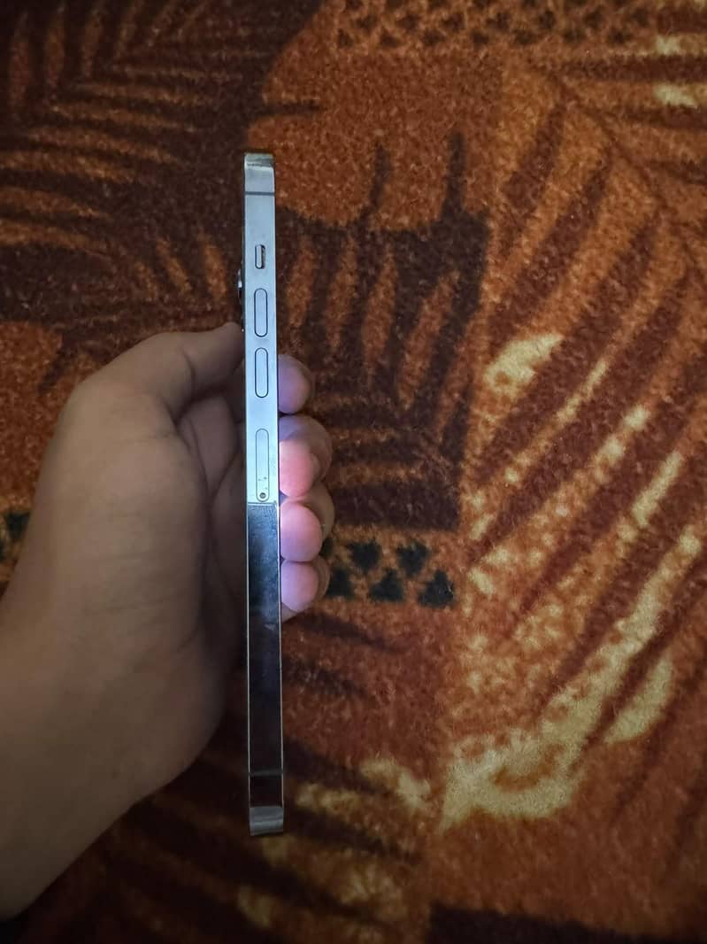 Apple iPhone 13 Pro Max 4