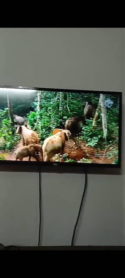 TCL 32 inch led simple