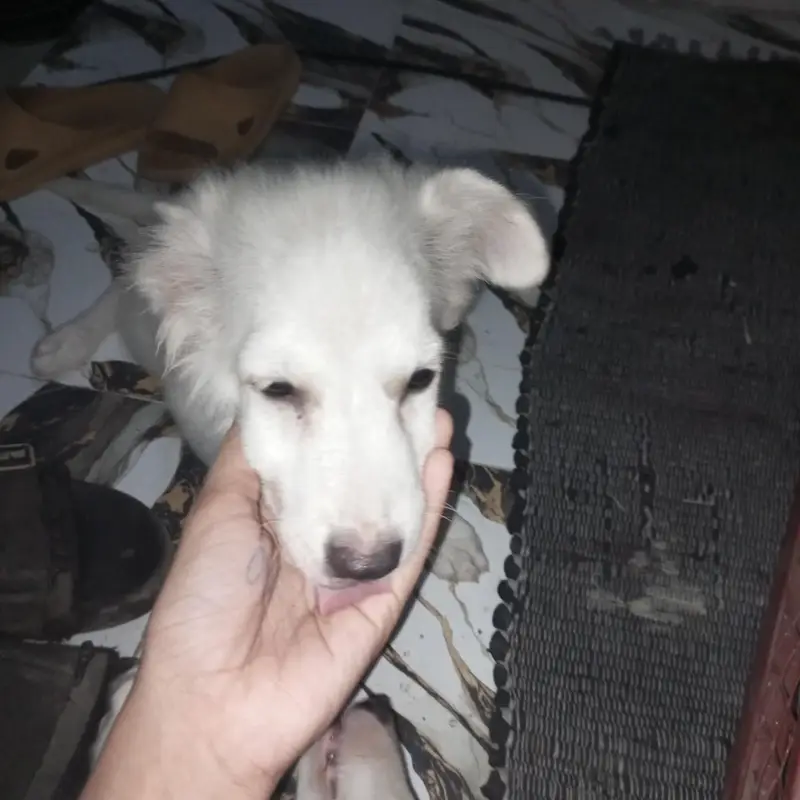 smaja dar hn or sunta b hn — photo 2