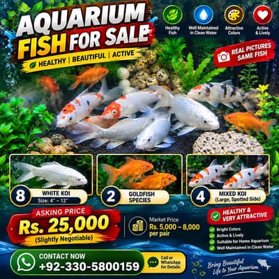 KOI FISH & GOLDFISH FOR SALE e
